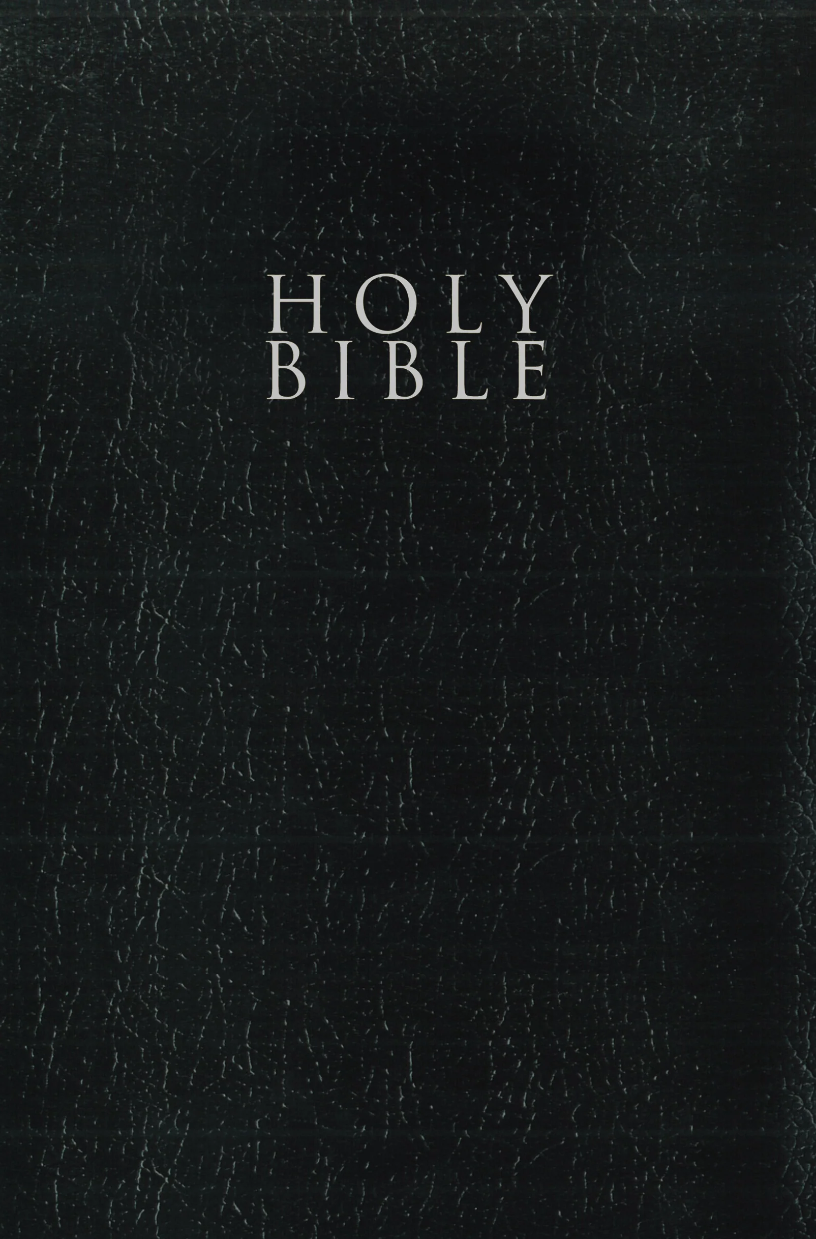 NIV, Gift and Award Bible, Leather-Look, Red Letter Edition, Comfort Print - Image 8