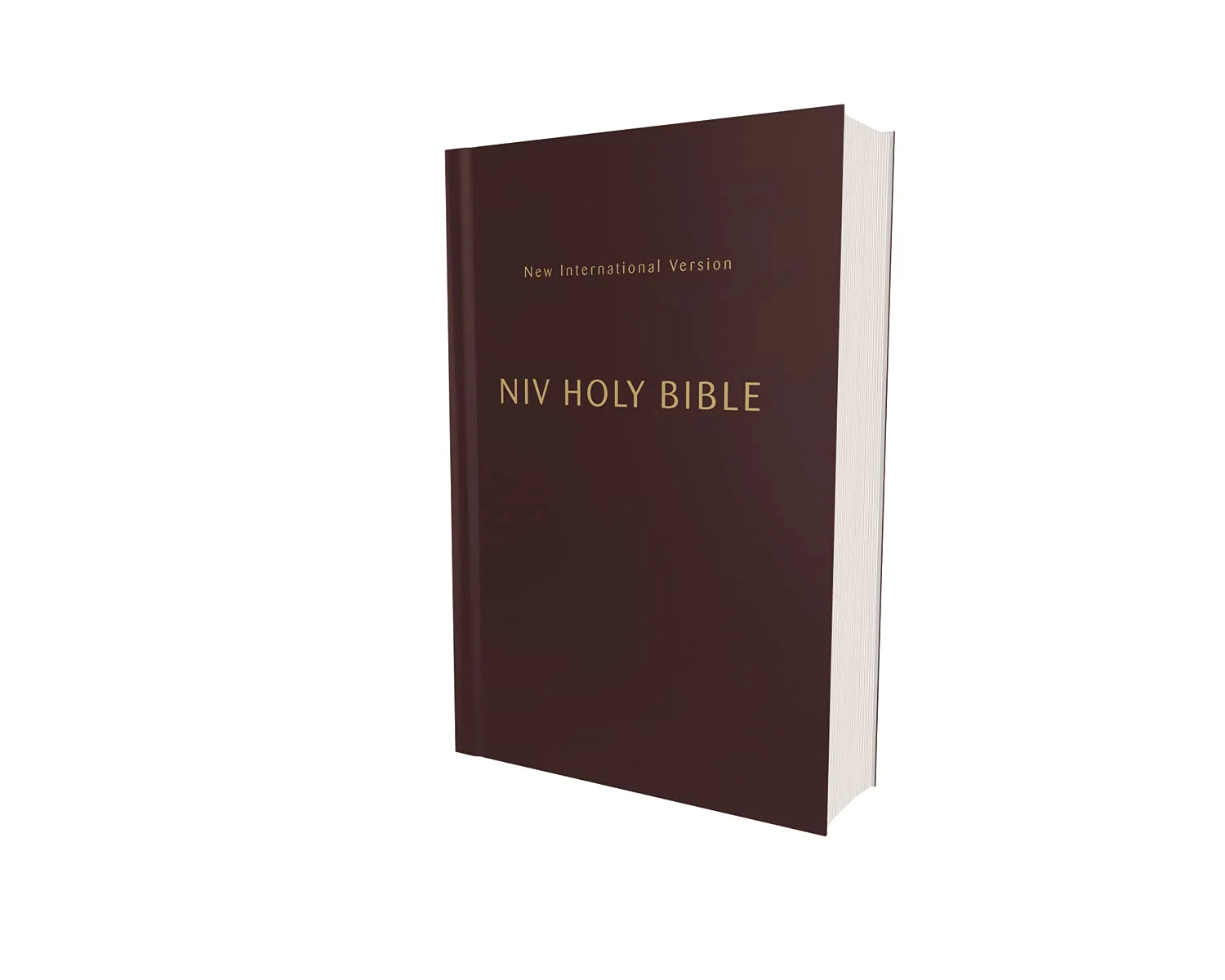 NIV, Holy Bible, Compact, Comfort Print - Image 13
