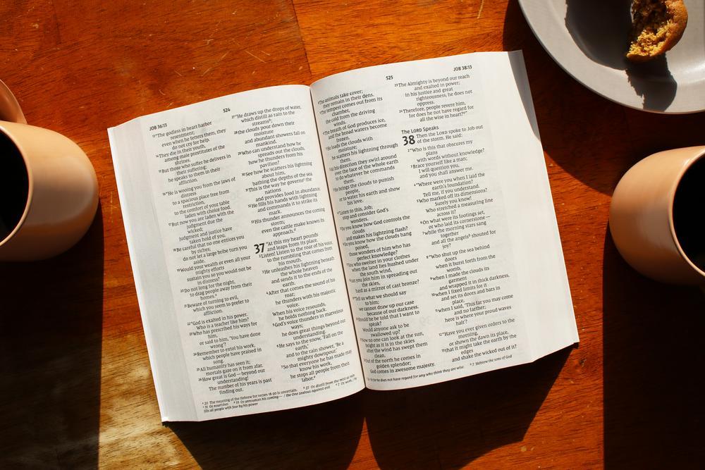 NIV, Jesus Everywhere Outreach Bible, Larger Print, Paperback, Comfort Print - Image 12