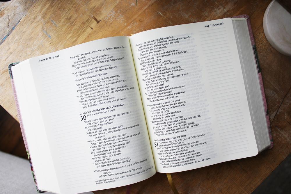 NIV, Artisan Collection Bible, Large Print, Red Letter, Comfort Print - Image 11