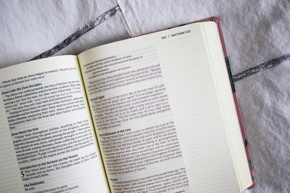 NIV, Artisan Collection Bible, Large Print, Red Letter, Comfort Print - Image 12