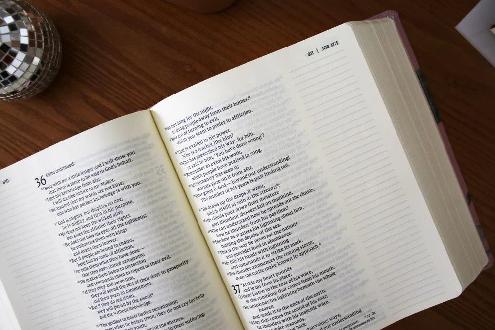 NIV, Artisan Collection Bible, Large Print, Red Letter, Comfort Print - Image 13