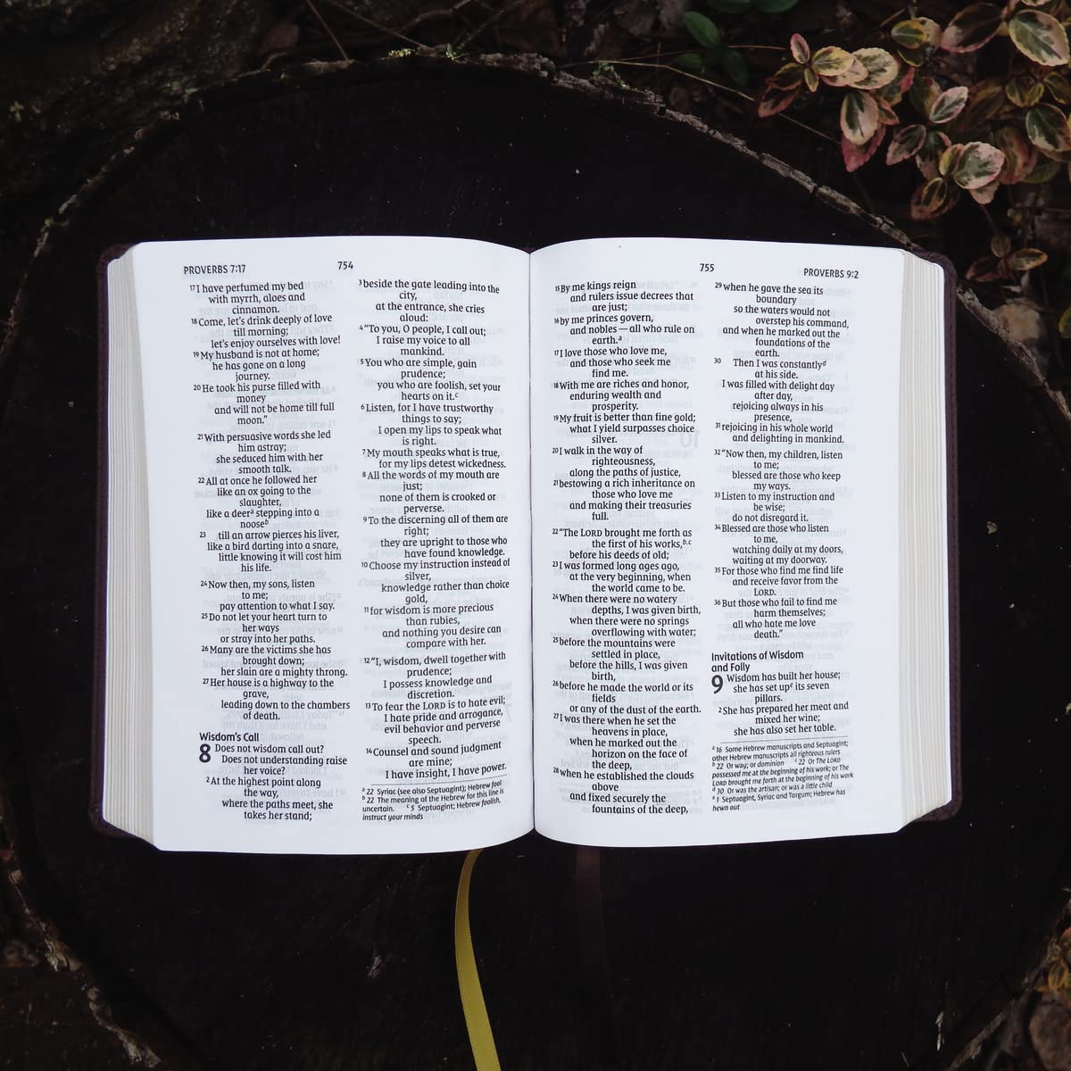 NIV, Larger Print Compact Bible, Red Letter Edition, Comfort Print - Image 6