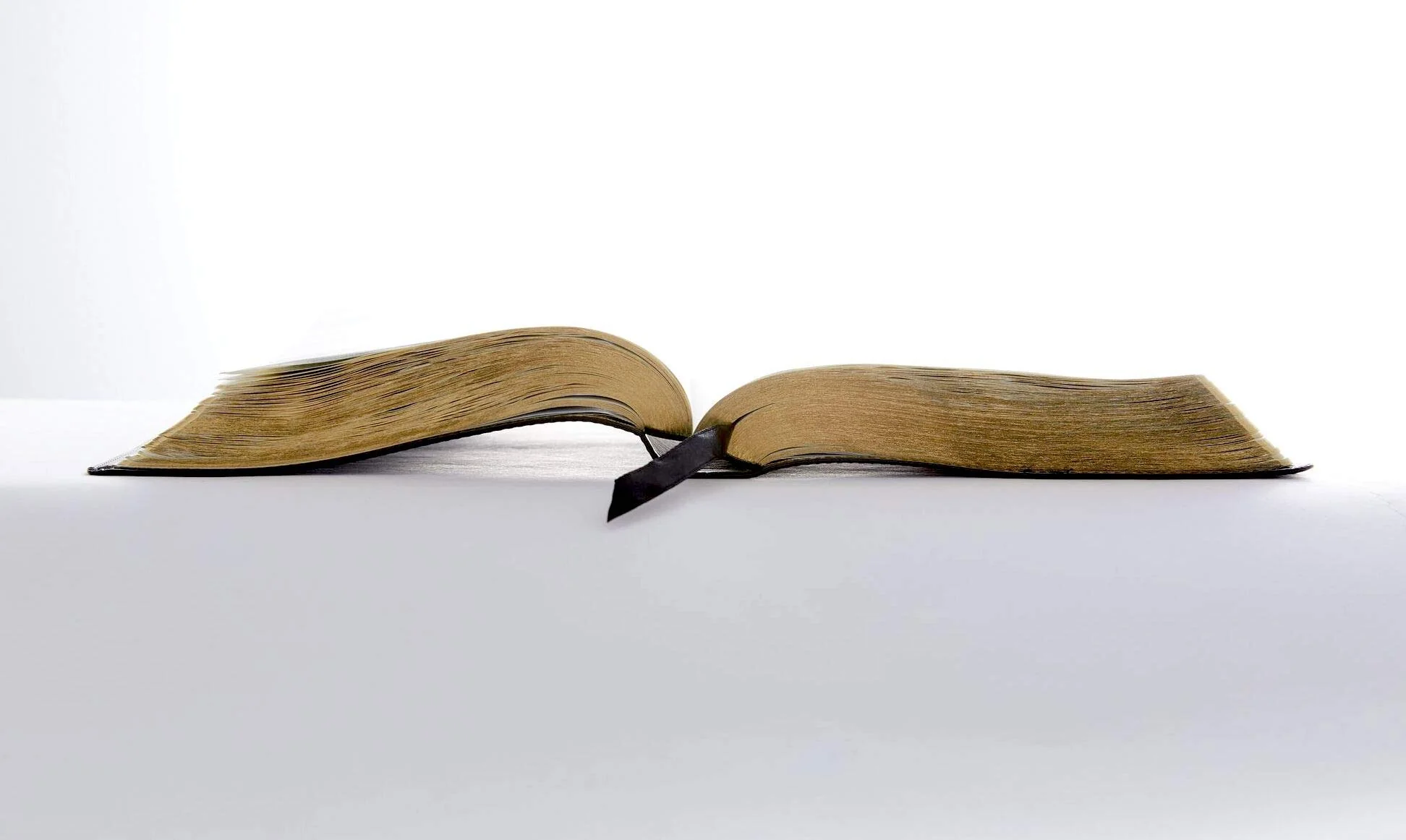 NIV, Maxwell Leadership Bible, 3rd Edition, Comfort Print: Holy Bible, New International Version - Image 10