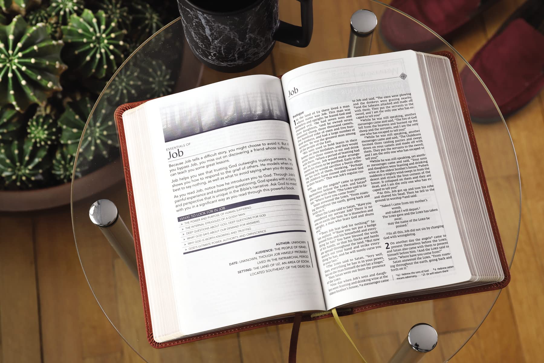 NIV, Men's Devotional Bible, Comfort Print - Image 17
