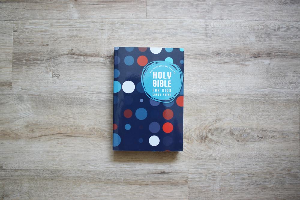 NIV, Outreach Large Print Bible for Kids, Paperback