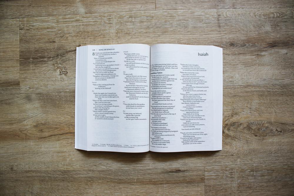 NIV, Outreach Large Print Bible for Kids, Paperback - Image 3