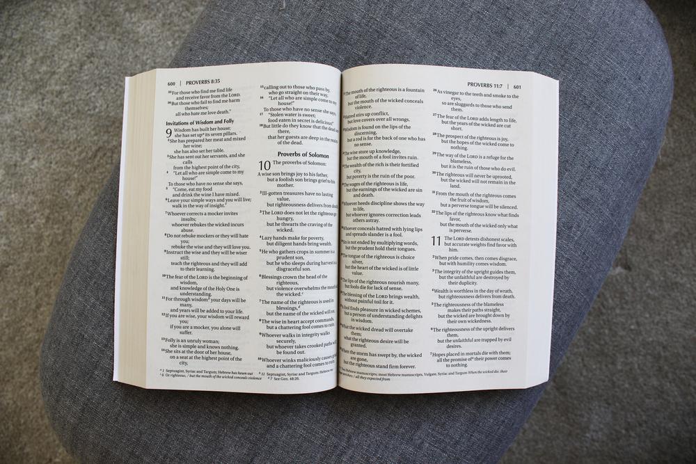 NIV, Outreach Large Print Bible for Kids, Paperback - Image 5