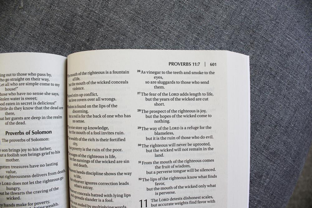 NIV, Outreach Large Print Bible for Kids, Paperback - Image 6