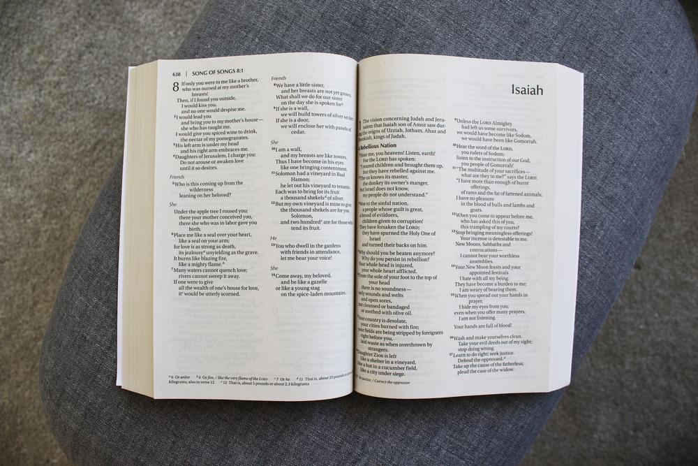 NIV, Outreach Large Print Bible for Kids, Paperback - Image 7