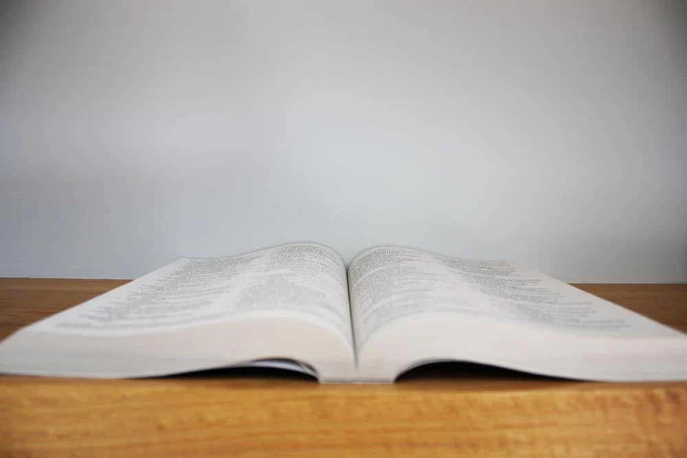 NIV, Outreach Large Print Bible for Kids, Paperback - Image 8