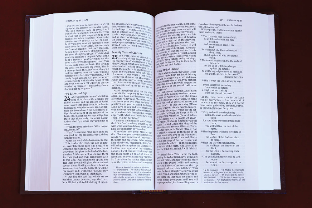 NIV, Church Bible (Pew Bible), Hardcover, Comfort Print - Image 14