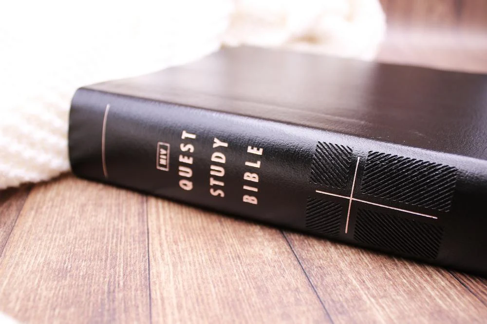 NIV, Quest Study Bible, Comfort Print: The Only Q and A Study Bible - Image 10
