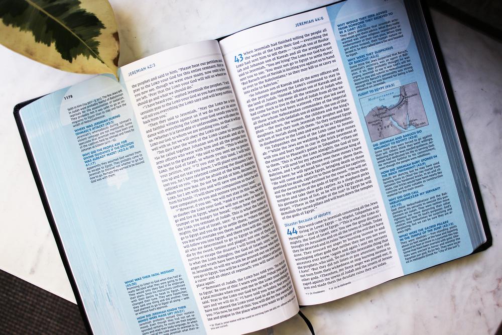 NIV, Quest Study Bible, Comfort Print: The Only Q and A Study Bible - Image 24