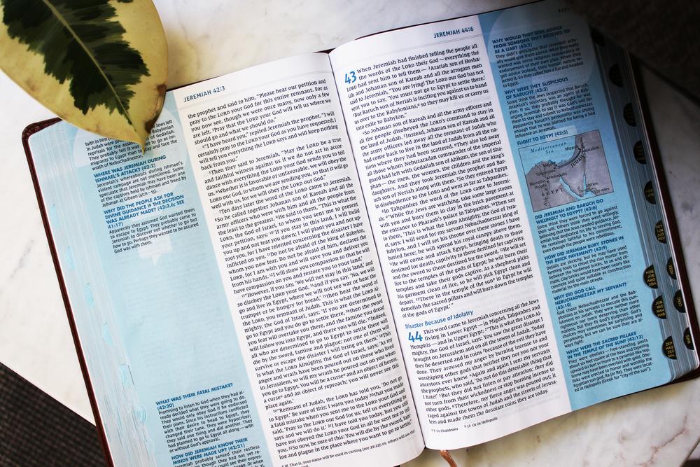 NIV, Quest Study Bible, Comfort Print: The Only Q and A Study Bible - Image 30