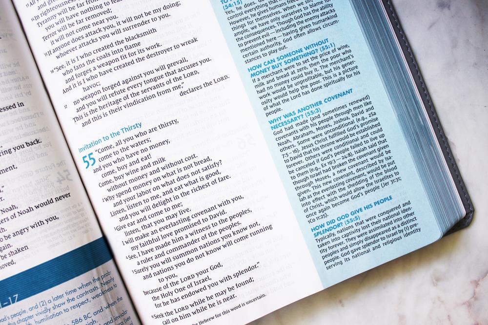 NIV, Quest Study Bible, Comfort Print: The Only Q and A Study Bible - Image 34