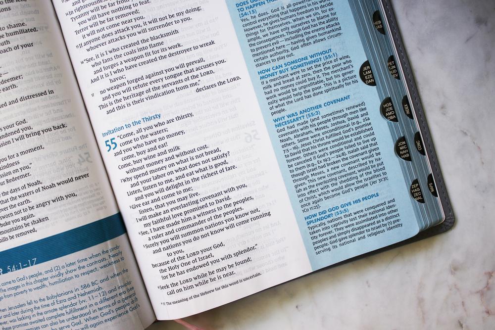 NIV, Quest Study Bible, Comfort Print: The Only Q and A Study Bible - Image 42