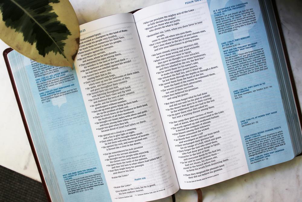 NIV, Quest Study Bible, Comfort Print: The Only Q and A Study Bible - Image 47