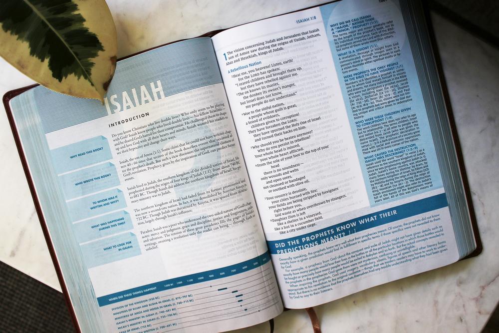 NIV, Quest Study Bible, Comfort Print: The Only Q and A Study Bible - Image 48