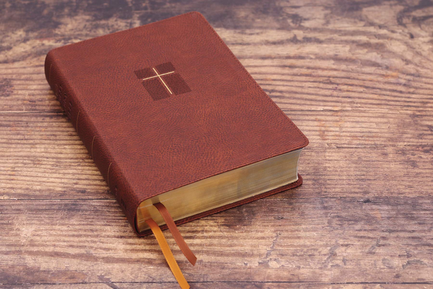 NIV, Quest Study Bible, Comfort Print: The Only Q and A Study Bible - Image 12