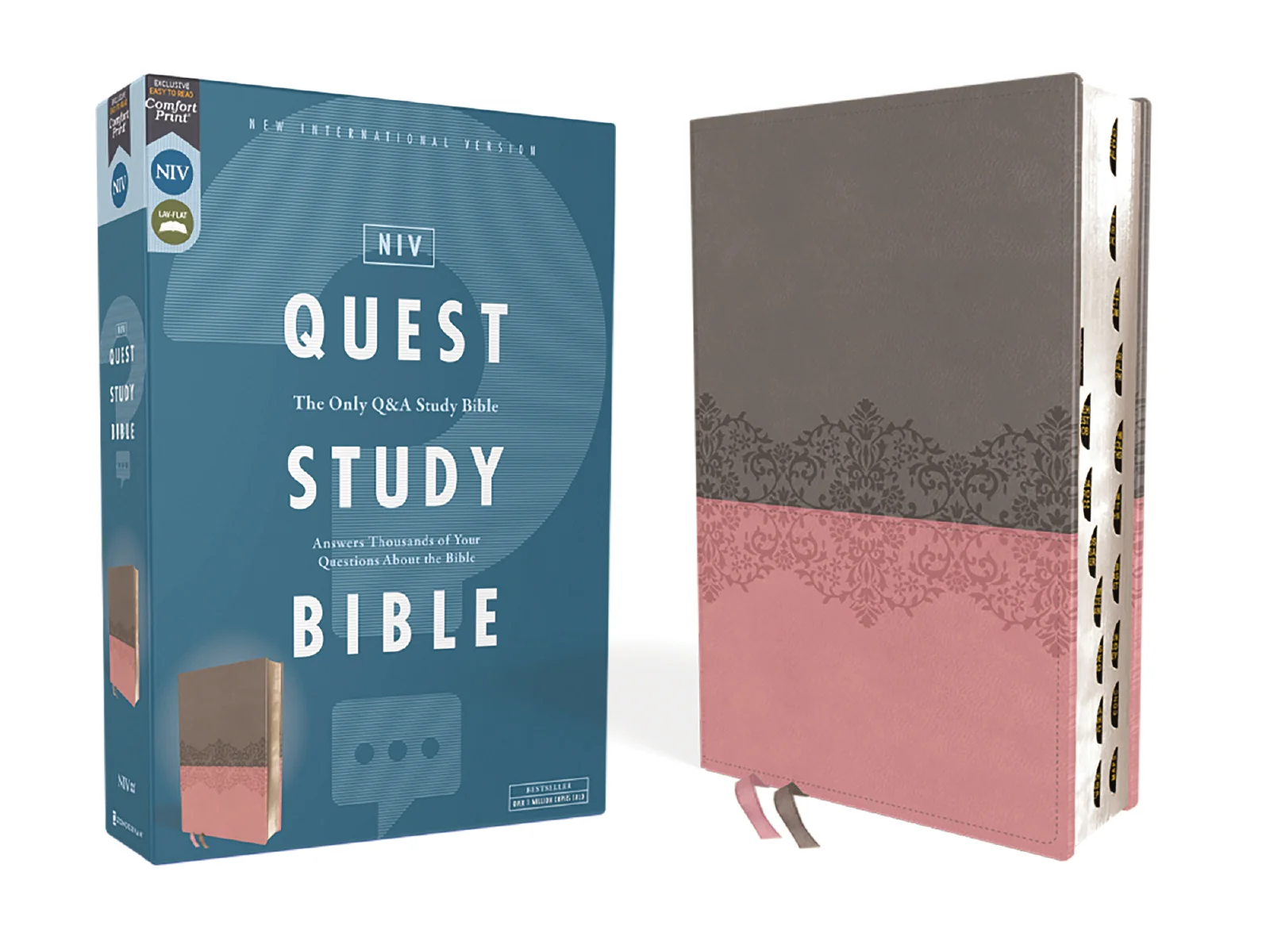 NIV, Quest Study Bible, Comfort Print: The Only Q and A Study Bible - Image 23