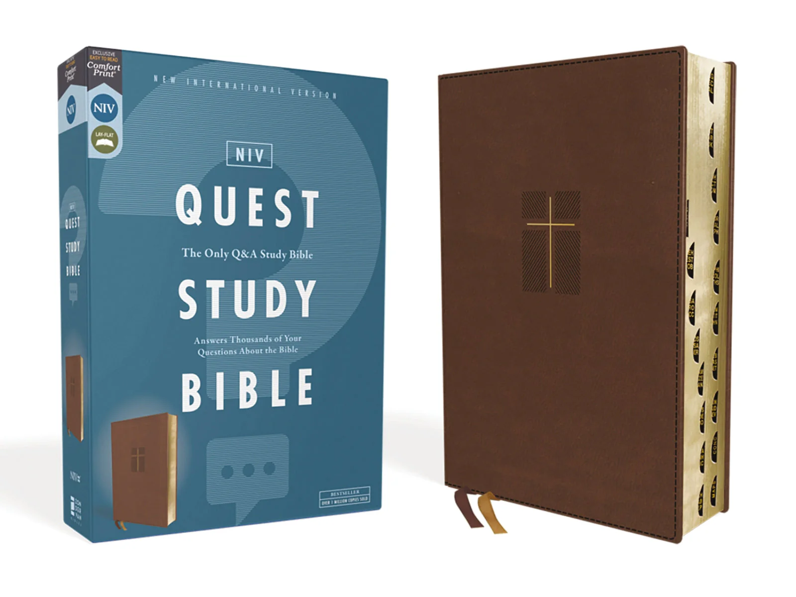 NIV, Quest Study Bible, Comfort Print: The Only Q and A Study Bible - Image 24