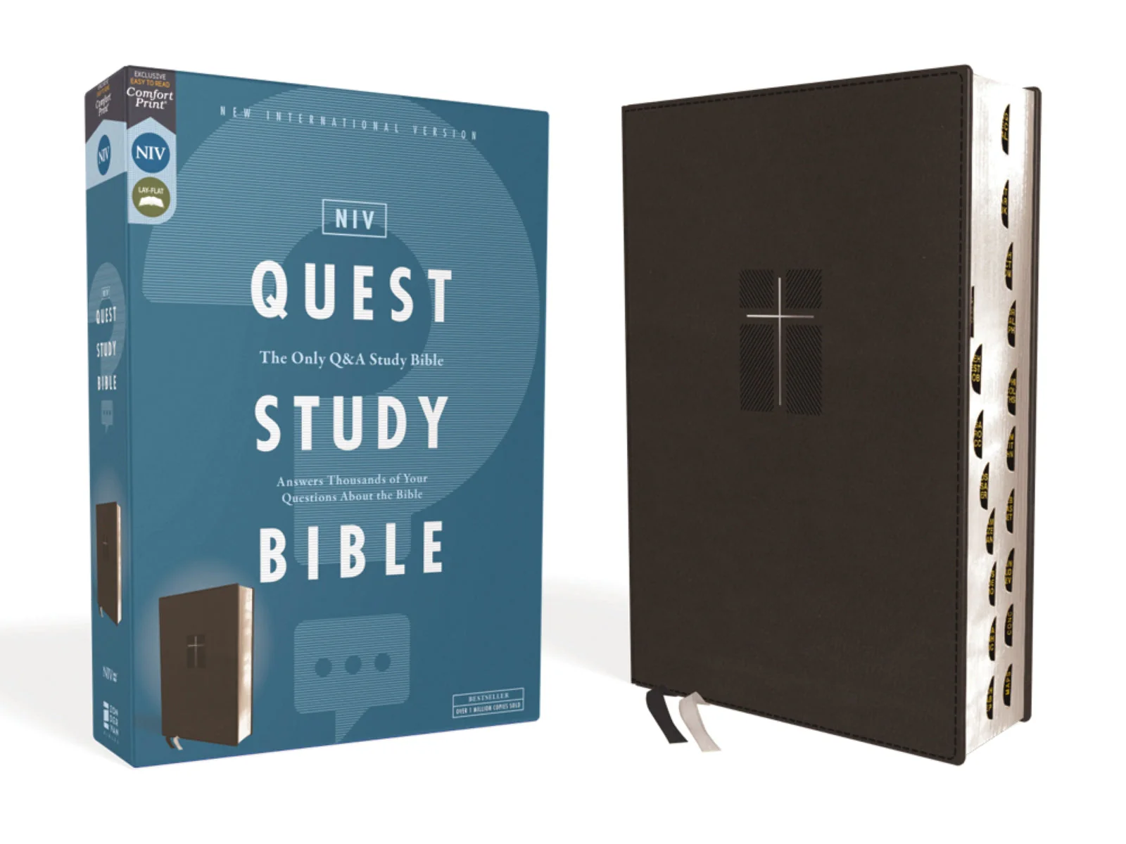 NIV, Quest Study Bible, Comfort Print: The Only Q and A Study Bible - Image 31