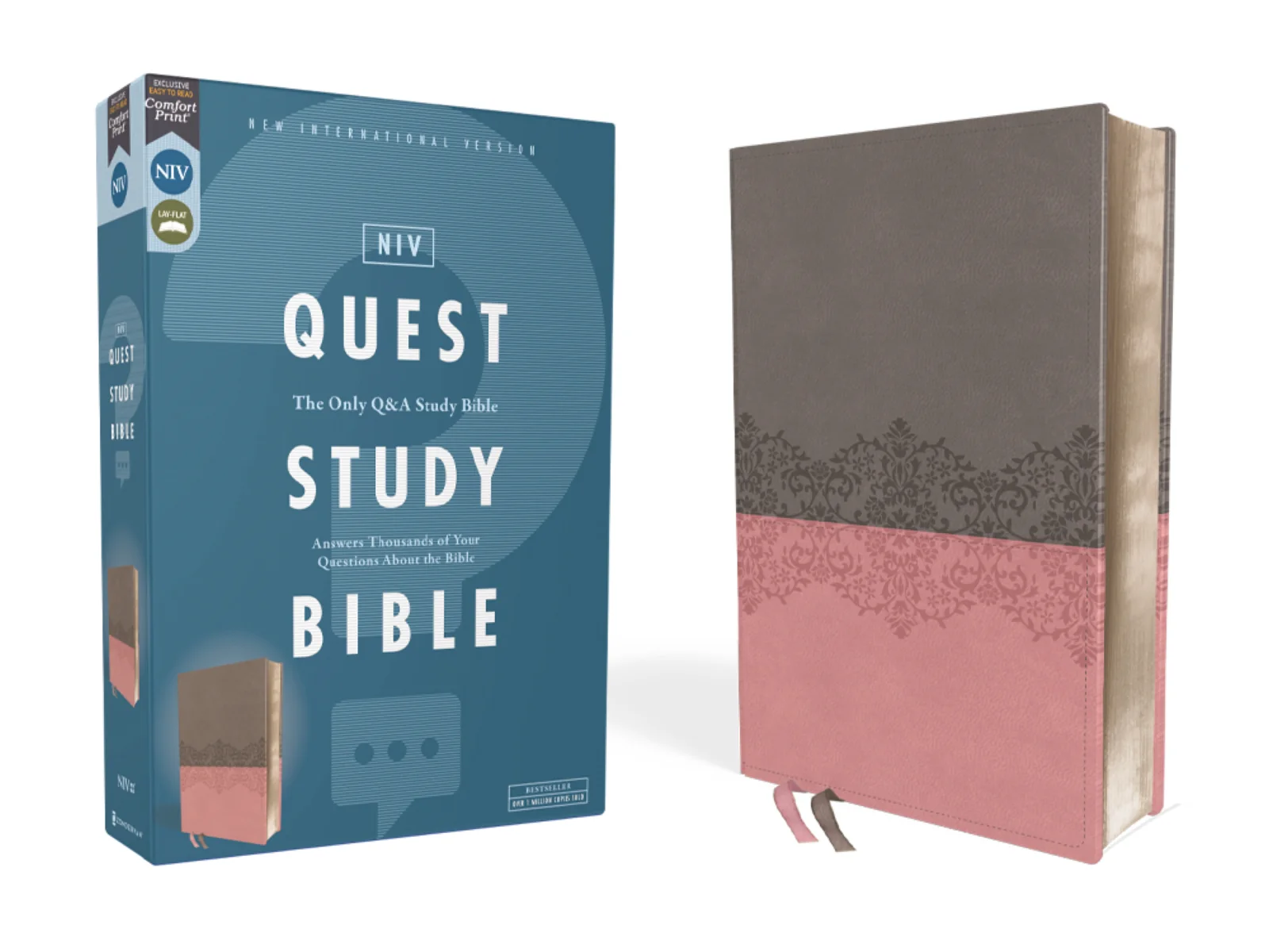 NIV, Quest Study Bible, Comfort Print: The Only Q and A Study Bible - Image 34