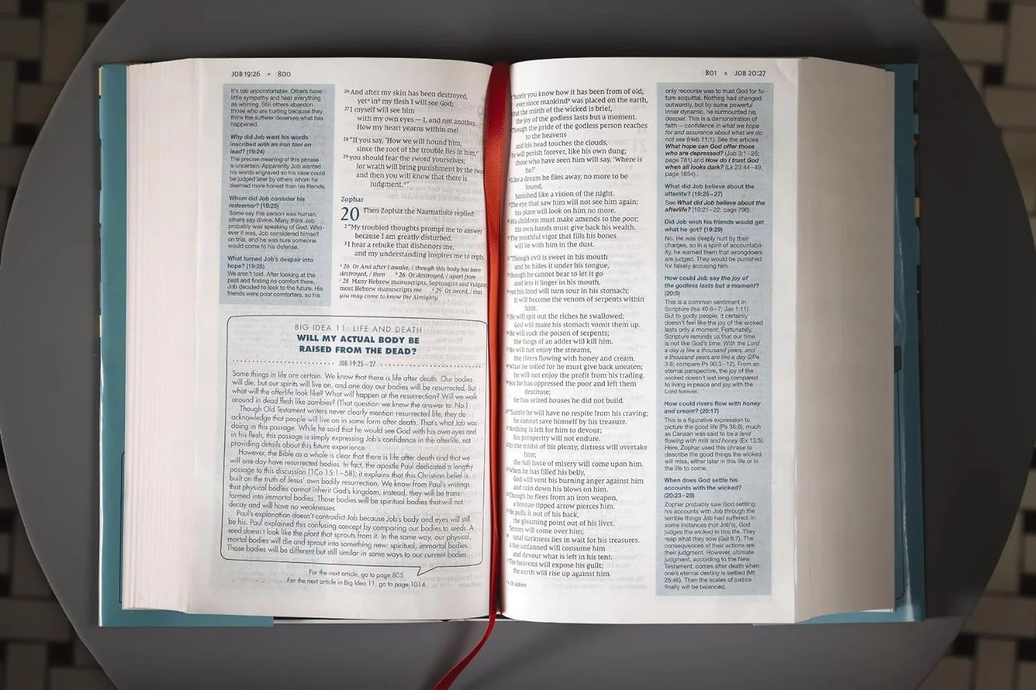 NIV, Quest Study Bible for Teens, Comfort Print: The Question and Answer Bible - Image 21