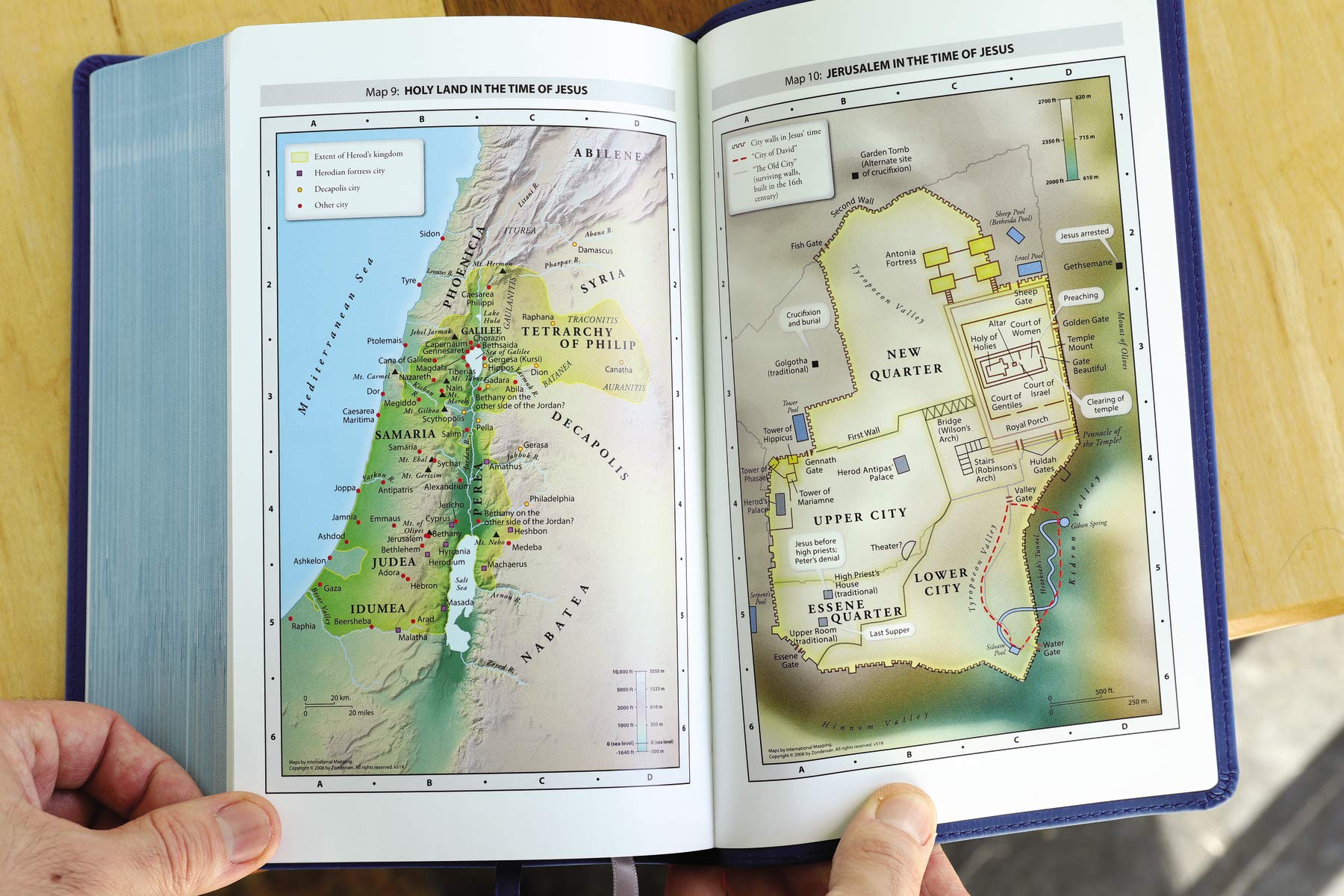 NIV, Quest Study Bible, Personal Size, Comfort Print: The Only Q and A Study Bible - Image 10