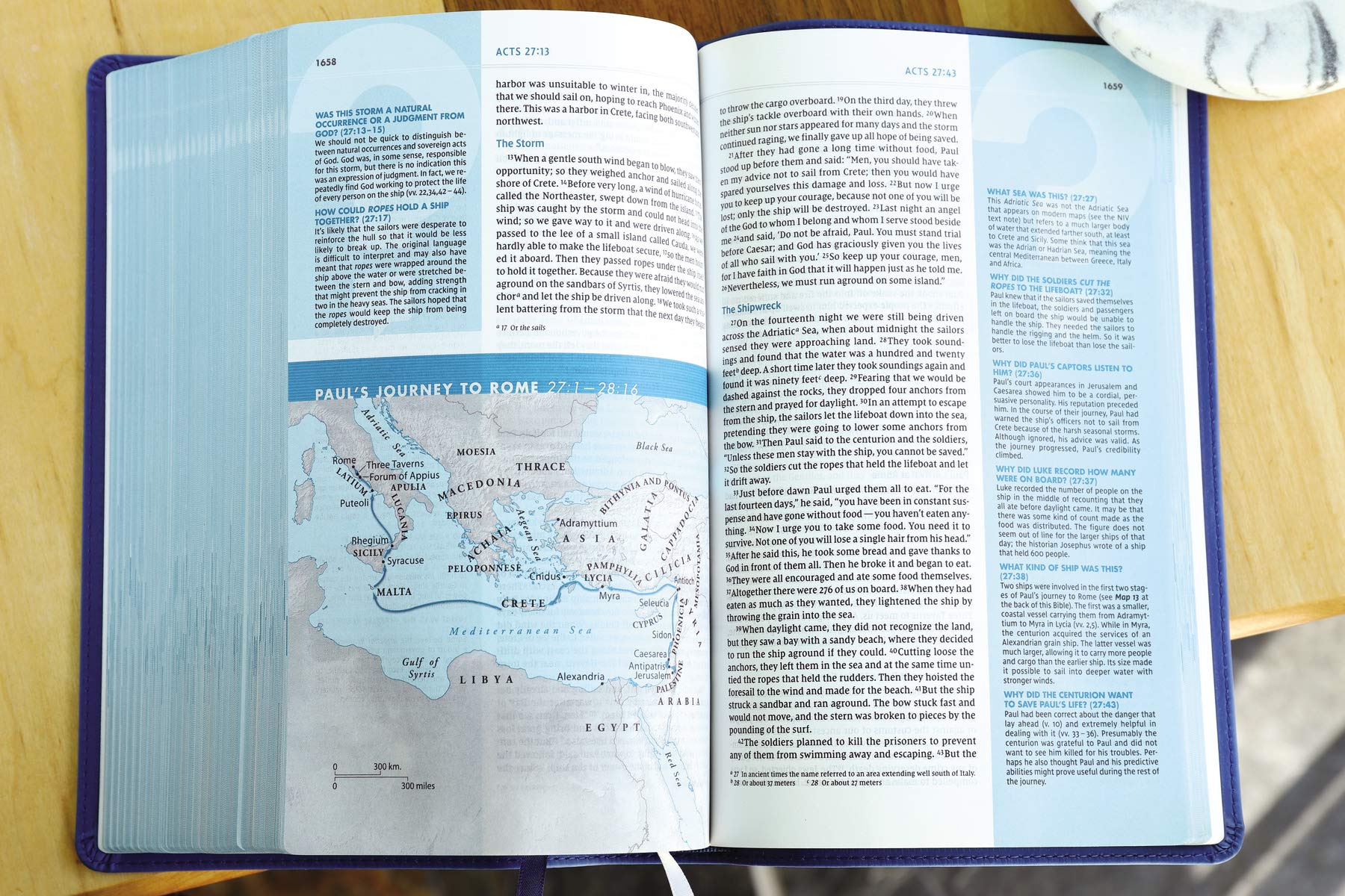 NIV, Quest Study Bible, Personal Size, Comfort Print: The Only Q and A Study Bible - Image 11