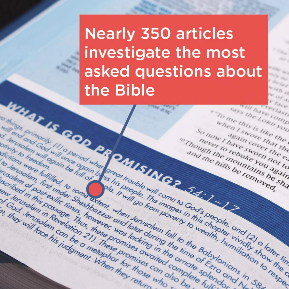 NIV, Quest Study Bible, Personal Size, Comfort Print: The Only Q and A Study Bible - Image 7