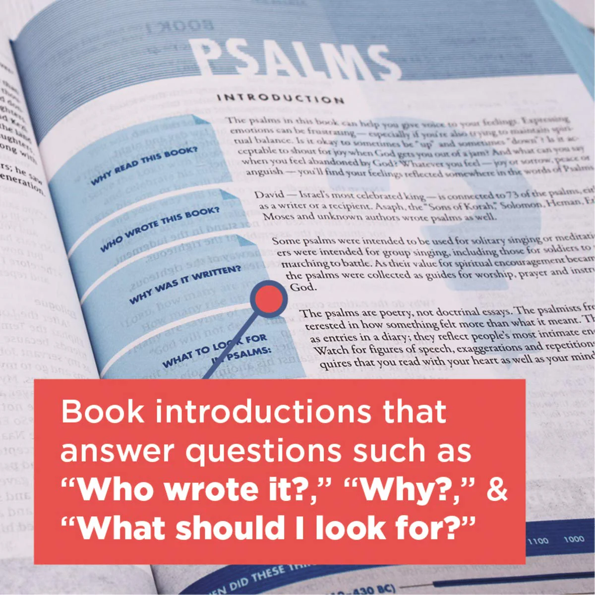 NIV, Quest Study Bible, Personal Size, Comfort Print: The Only Q and A Study Bible - Image 8
