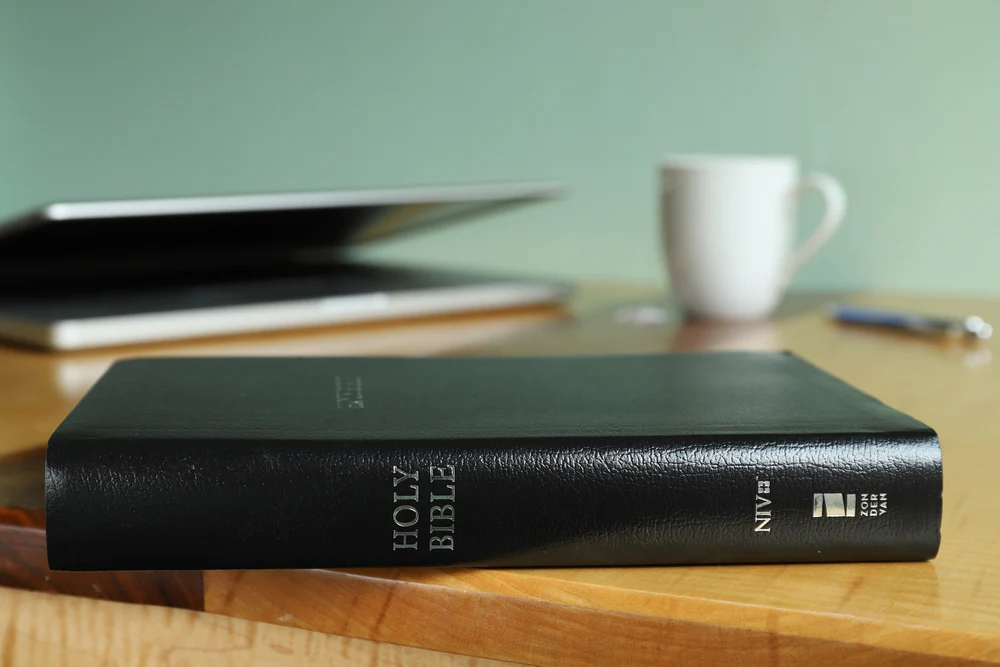 NIV, Reference Bible, Giant Print, Red Letter Edition, Comfort Print - Image 30