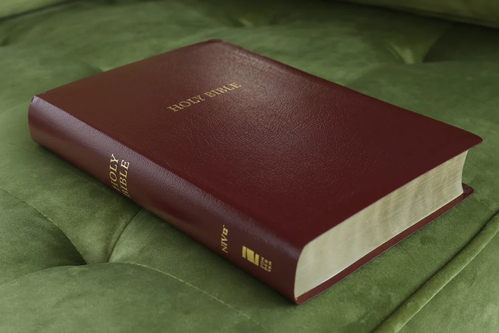 NIV, Reference Bible, Giant Print, Red Letter Edition, Comfort Print - Image 69