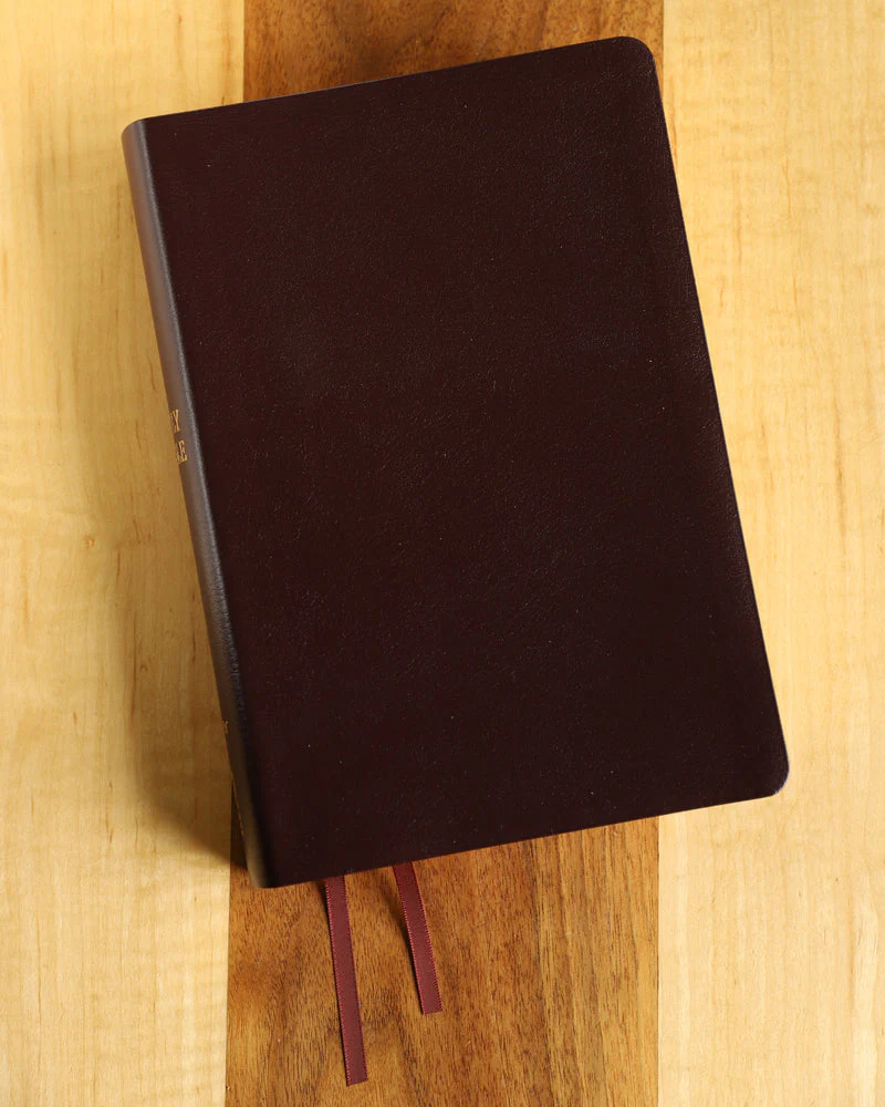 NIV, Reference Bible, Giant Print, Red Letter Edition, Comfort Print - Image 82