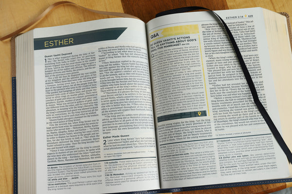 NIV, Starting Place Study Bible, Comfort Print: An Introductory Exploration of Studying God's Word - Image 27