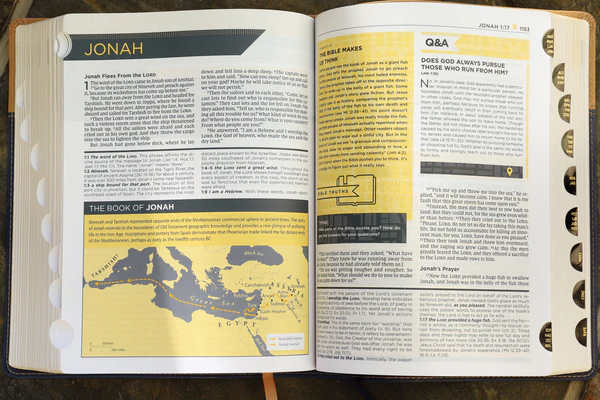 NIV, Starting Place Study Bible, Comfort Print: An Introductory Exploration of Studying God's Word - Image 33