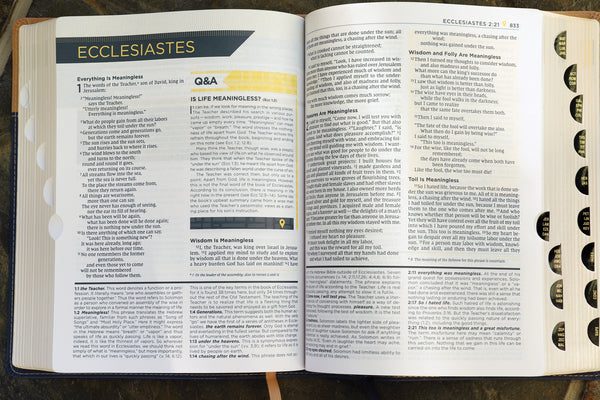 NIV, Starting Place Study Bible, Comfort Print: An Introductory Exploration of Studying God's Word - Image 37