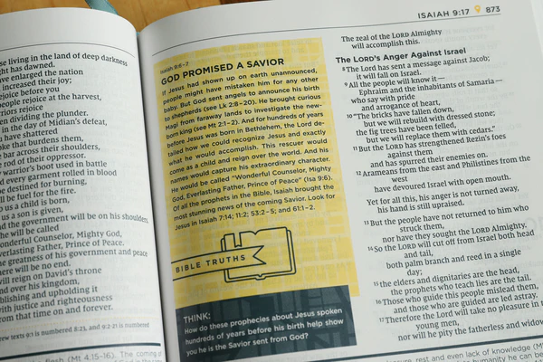 NIV, Starting Place Study Bible, Comfort Print: An Introductory Exploration of Studying God's Word - Image 44