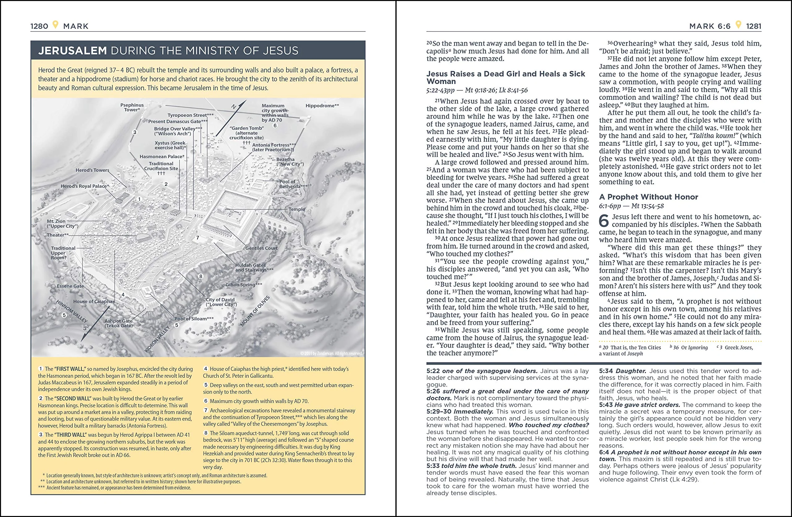 NIV, Starting Place Study Bible, Comfort Print: An Introductory Exploration of Studying God's Word - Image 8