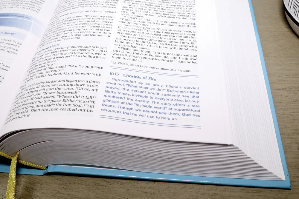 NIV, Student Bible, Personal Size, Comfort Print - Image 20