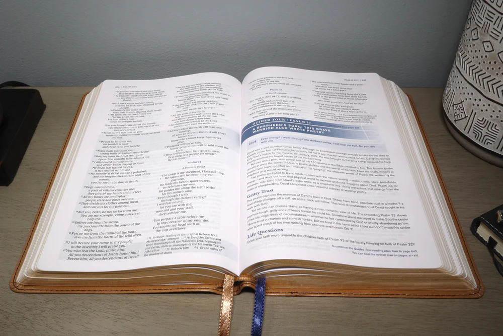 NIV, Student Bible, Personal Size, Comfort Print - Image 31