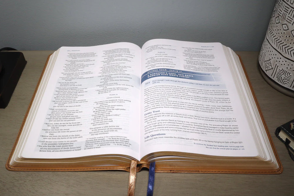 NIV, Student Bible, Personal Size, Comfort Print - Image 41