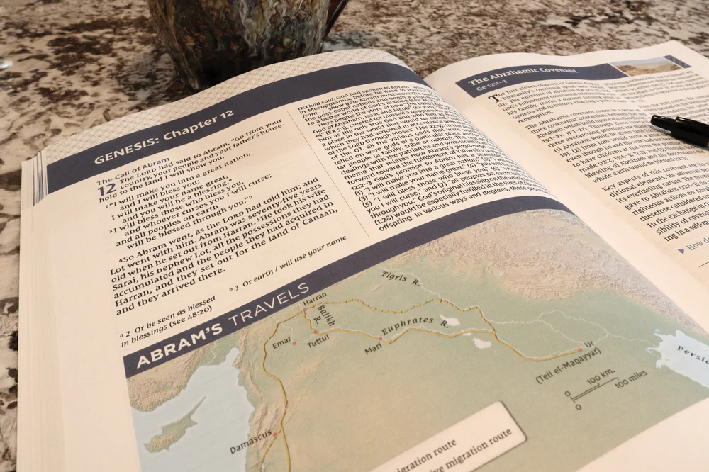 NIV Study Bible Essential Guide to Genesis, Paperback, Red Letter, Comfort Print - Image 3
