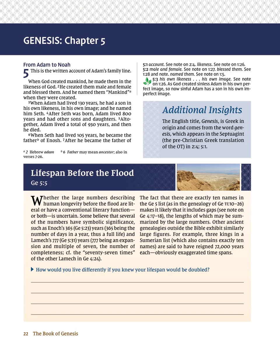 NIV Study Bible Essential Guide to Genesis, Paperback, Red Letter, Comfort Print - Image 5