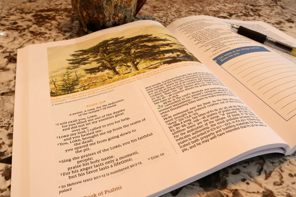 NIV Study Bible Essential Guide to the Psalms, Paperback, Red Letter, Comfort Print - Image 4