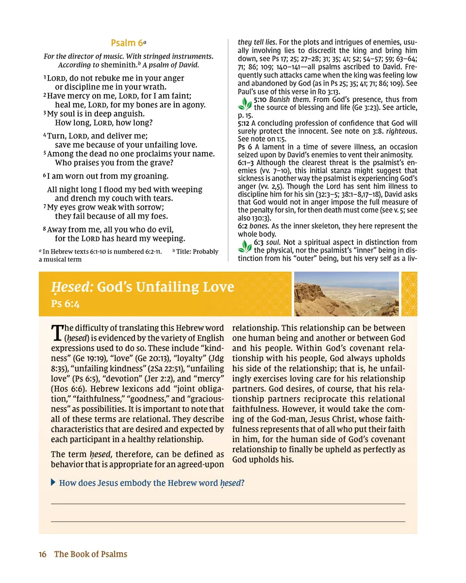 NIV Study Bible Essential Guide to the Psalms, Paperback, Red Letter, Comfort Print - Image 5