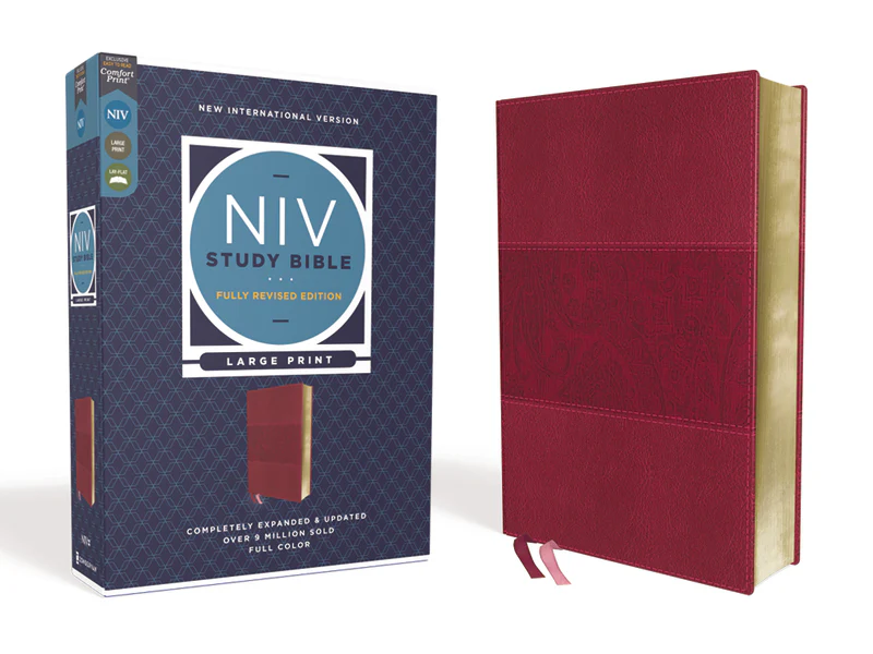 NIV Study Bible, Fully Revised Edition, Large Print, Red Letter, Comfort Print - Image 3