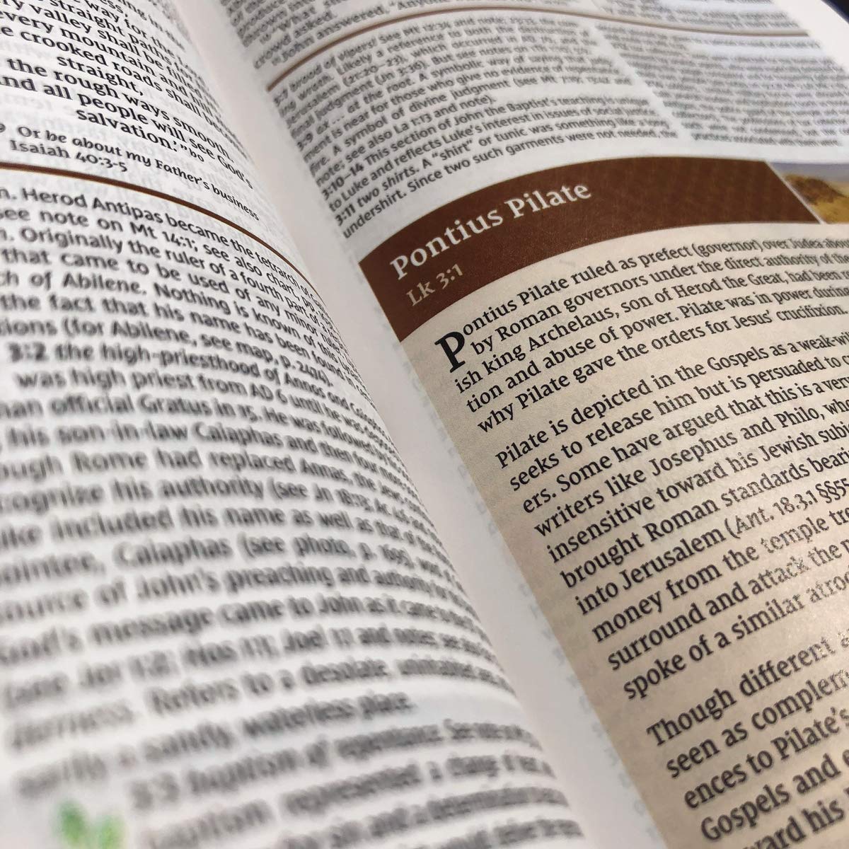 NIV Study Bible, Fully Revised Edition, Personal Size, Red Letter, Comfort Print - Image 16